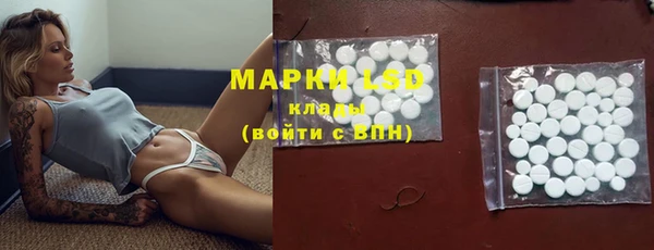 мяу мяу мука Абаза
