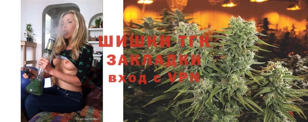 мяу мяу мука Абаза