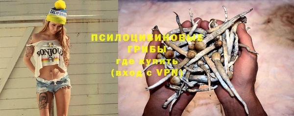 мяу мяу мука Абдулино