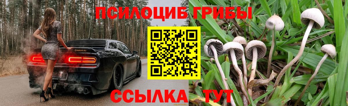 Галлюциногенные грибы мицелий Алексин