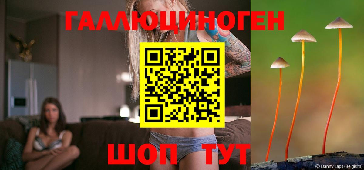 Псилоцибиновые грибы Psilocybe  Вход с VPN  Псилоцибиновые грибы GOLDEN TEACHER  Алексин 